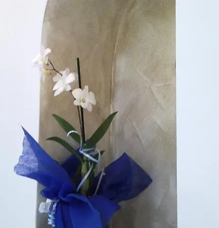 Il Soffio Di Eolo Apartmán Lipari (Isola Lipari)