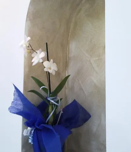 Il Soffio Di Eolo Apartment Lipari (Isola Lipari)